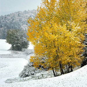 winter 1