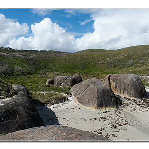 elephant rocks3