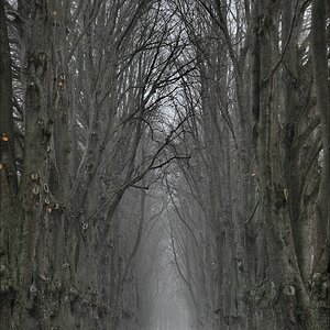 aacomp usedom 20121116 0914