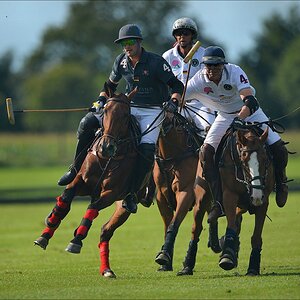 aaacomp polo 20120901 1379