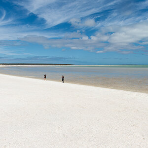 shell beach