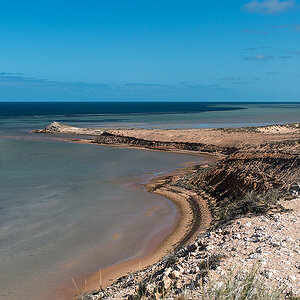 shark bay3