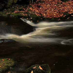 Buchberger Leitn 11/2012 #06