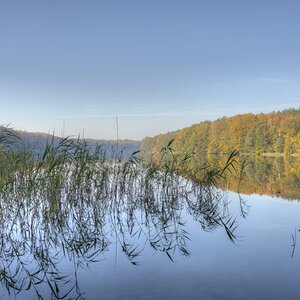 Liepnitzsee am Morgen