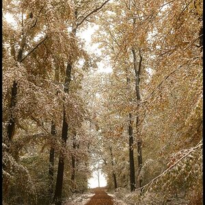 Winterherbst