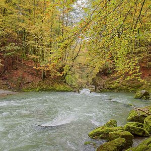 F02 8858 x