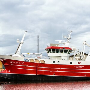 TZ ZIM 3298