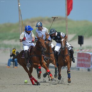 aacomp beachpolo 20120623 0251