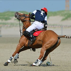 aacomp beachpolo 20120623 1784