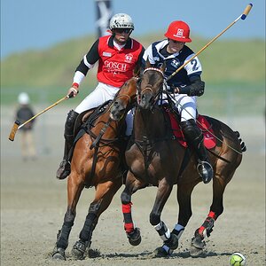aacomp beachpolo 20120623 2634