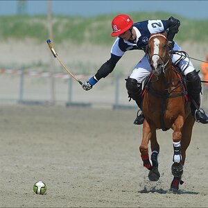 aacomp beachpolo 20120623 2011