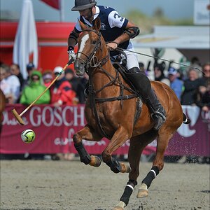 aacomp beachpolo 20120623 1744
