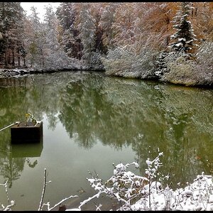 The Lake