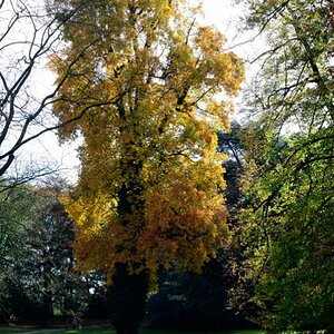 DSC0408