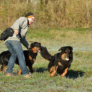 Vorsprung ... DSC 6716