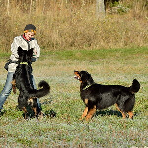 Gibs mir Matte ... DSC 6709
