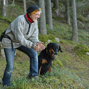 Auf sie mit Gebruell ... DSC 6787