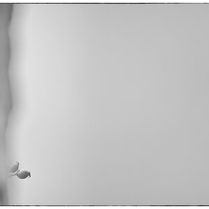 UsedomDSC 7592