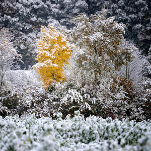 winter 3