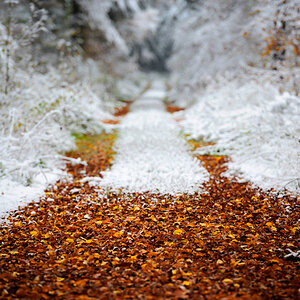 winter 2
