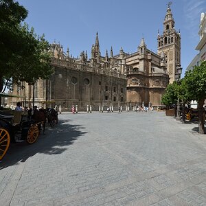 comp D800 4347