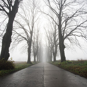 nebel3