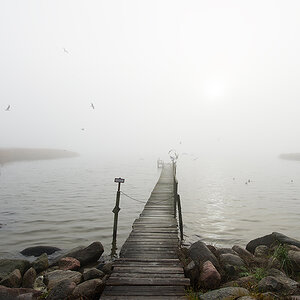 nebel6