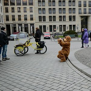 FotoBär