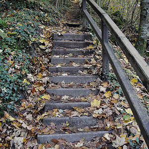 20121028 DSC 0884 Bearbeitet