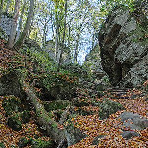 20121028 DSC 0874 Bearbeitet