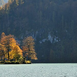 Schönau 231011 023