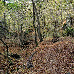 20121028 DSC 0860 Bearbeitet