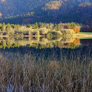 Schönau 291011 459