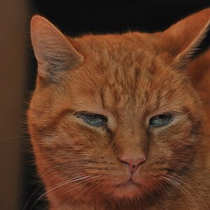 2012 11 18 10430  D300S A