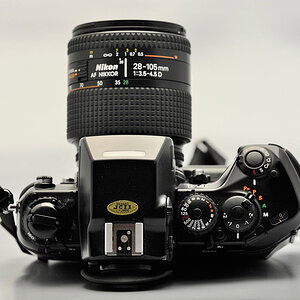 D3A6436 w