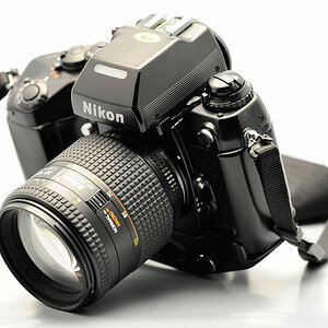 D3A6439 w