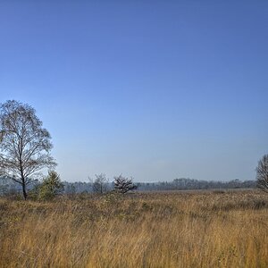 DSC0365 66 67 68 69 70 NFF