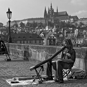 2071003 1259 sw KarlBr Künstler Prag