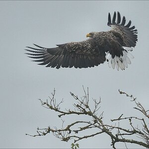 aacomp usedom 20121117 0412