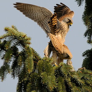 2012 03 24 12 59 56 D30 4734 copy 2