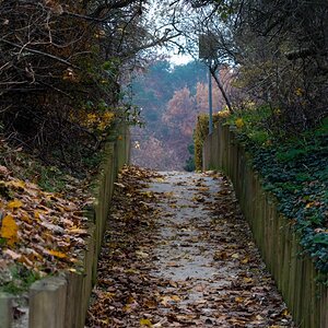 20121115 5188 [E M5] 45 mm,1 50 Sek. bei ƒ   3,5