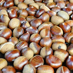 MER 8374