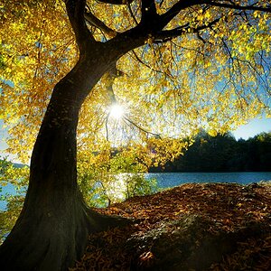 Herbst3