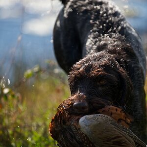 Jagd 121027 107
