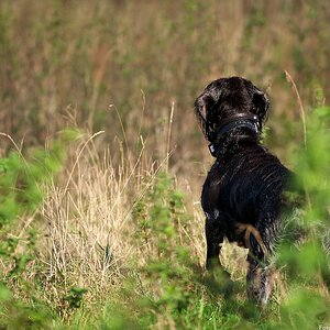 Jagd 121027 118