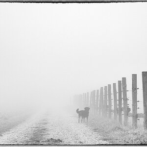 NebelDSC 0059