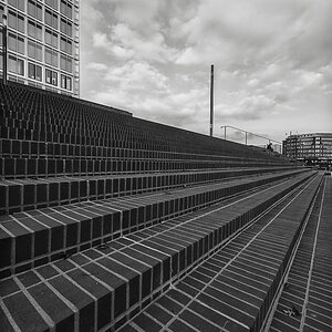 DSC1953