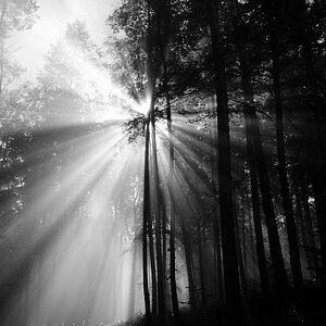 DSC 7874aklein