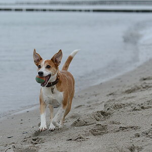 DSC 0059 21 11 2012