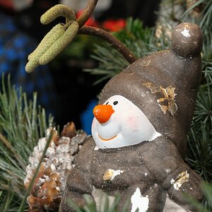 2012 12 01 10806  D300S A